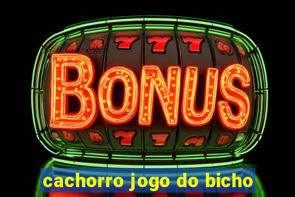cachorro jogo do bicho